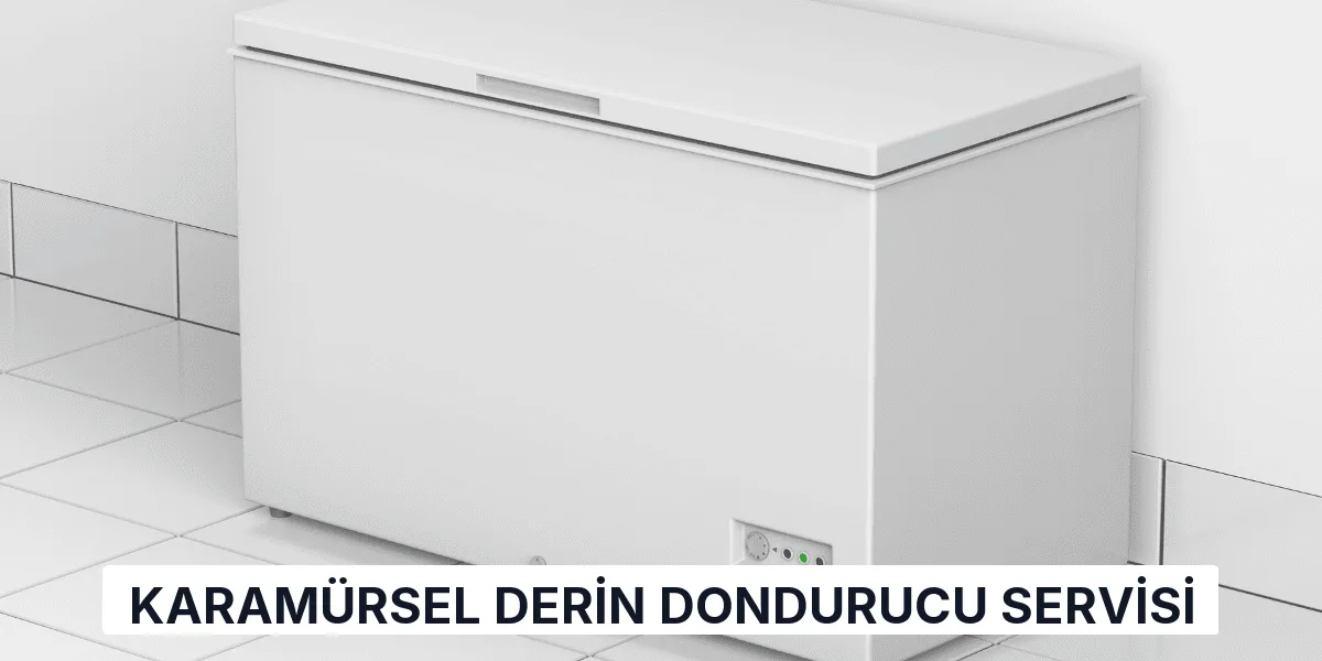Karamürsel Derin Dondurucu Servisi