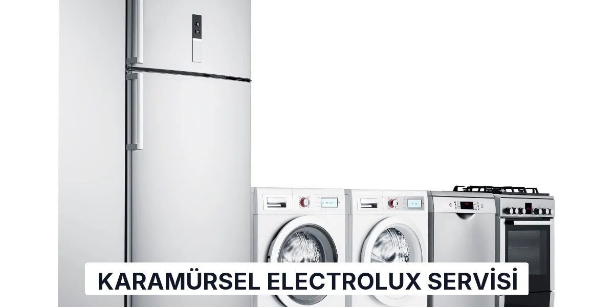 Karamürsel Electrolux Servisi