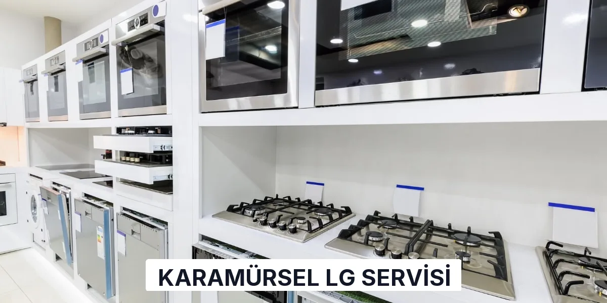 Karamürsel LG Servisi